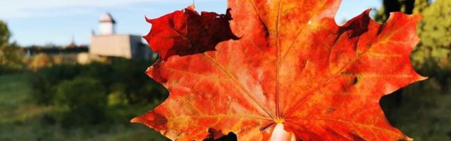 Нарва готовится стать осенней столицей Эстонии: программа обещает быть насыщенной