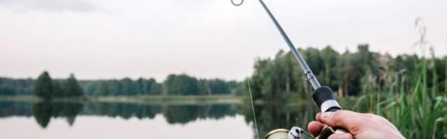 Твичинг: что это в рыбалке, техника ловли для начинающих