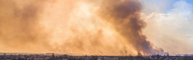 ФОТО и ВИДЕО | В Чернобыльской зоне горят леса и села, пожары подбираются к АЭС