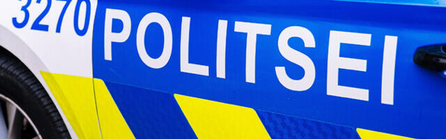 В Ида-Вирумаа два человека погибли в ДТП на шоссе Таллинн–Нарва