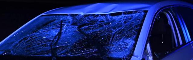 ФОТО И ВИДЕО | Нетрезвая 17-летняя девушка устроила ДТП. Водитель пострадал в столкновении с лосем