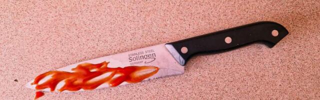 Член Сейма Литвы Д.Размислявичюс: «Создаётся впечатление, что все люди расчеловечиваются»