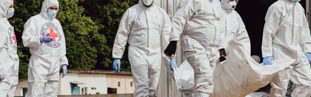 Правдивы ли эти скриншоты заметок западных СМИ о роли компенсаций в обмене телами военных между Россией и Украиной?