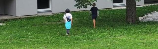 В Ыйсмяэ двое детей хотели поджечь чайку. Инцидентом занялась полиция