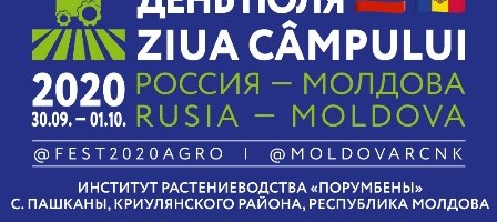 В Молдавии впервые состоится фестиваль «Российско-молдавский День поля»