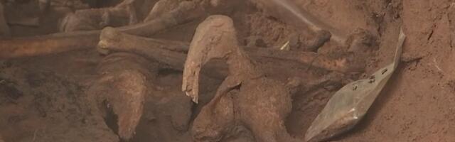 В Тарту при земляных работах обнаружили около 80 скелетов