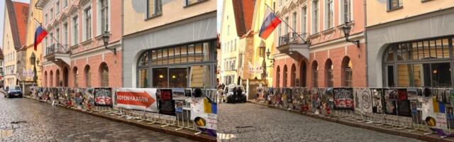 Цингиссер: давайте проголосовав докажем, что мы существуем и с нами надо считаться!