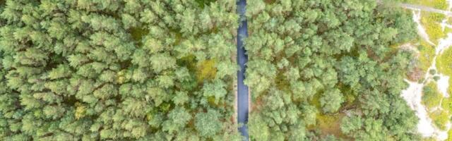 В Литве проложат почти 174 км новых велодорожек