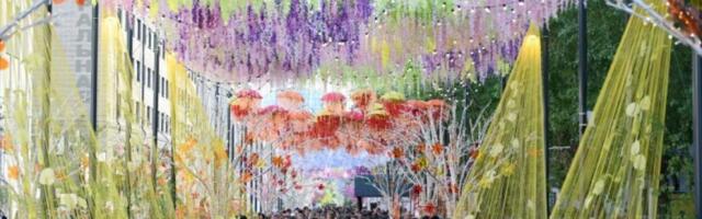 День города Новосибирска — 2025: дата, программа мероприятий, афиша, концерты, салют