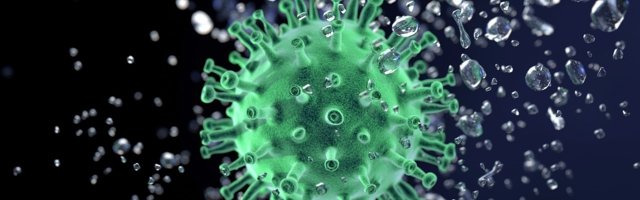 За минувшие сутки позитивный результат дали 6 тестов на коронавирус, новых смертей не было