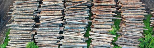 Договор с RMK покроет только треть потребностей целлюлозного завода VKG в сырье