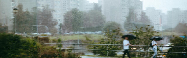 Июнь в Эстонии был холоднее и дождливее нормы