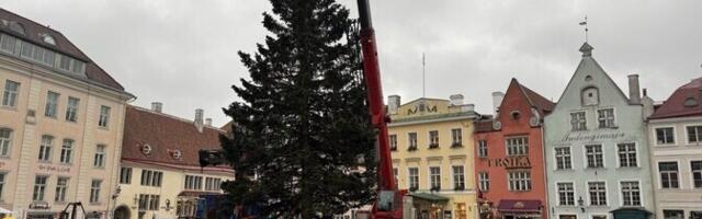 На Ратушной площади Таллинна готовятся к открытию рождественской ярмарки