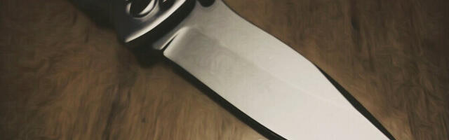 В подмосковной школе подросток напал с ножом на учеников: есть погибший и пострадавшие