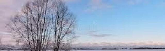 Минсельхоз предлагает отменить экстремальную ситуацию в сельском хозяйстве