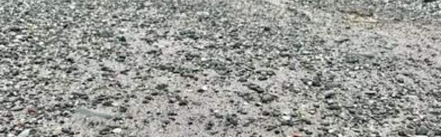 Послание в бутылке через 13 лет доплыло из Канады в Ирландию