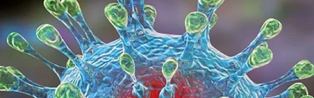 ПНД: 390 новых случаев инфицирования COVID-19, умерли семеро