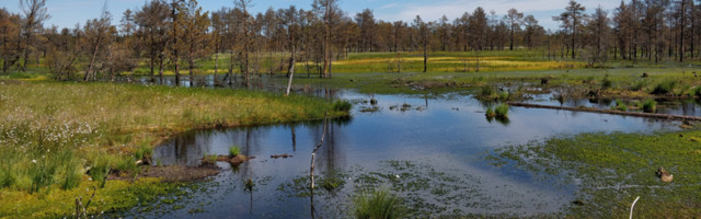 RMK и Министерство окружающей среды приглашают на экскурсии