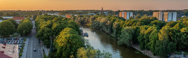 В Тарту начинается реконструкция бульвара Вабадузе