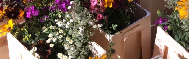 Ноу-хау известного эстонского флориста: местные цветы на гребне моды
