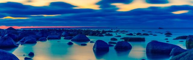 Учебный курс: Специалист по налогам Эстонии