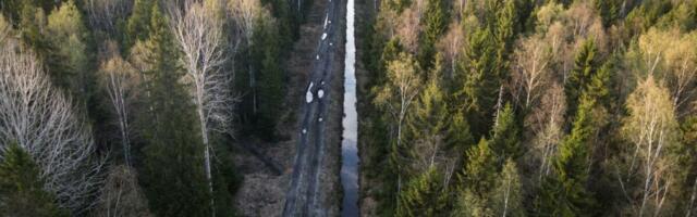 Линнамяэ взял под свой контроль весь лес Toftan