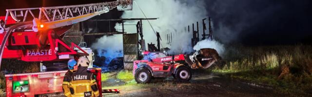 Сводка спасателей: пожары и погибшие в ДТП животные