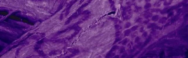 У найденной в Сибири «ледяной мумии» возрастом 2500 лет обнаружили затейливые татуировки