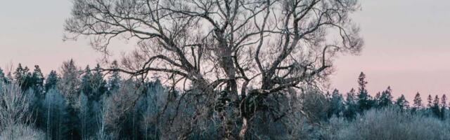 С сегодняшнего дня запрещен выход на лед Чудского, Псковского, Тёплого озёр