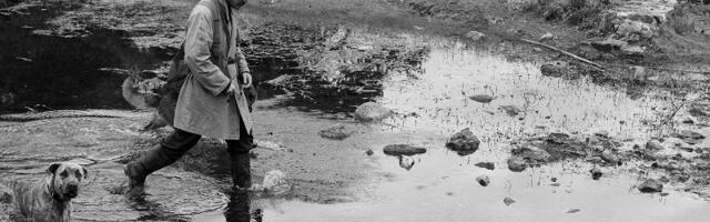 Рецензия | Гауптштурмфюрер Менгеле бежал