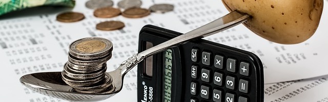 Соцдемы: Правительство бросило в беде тысячи физических лиц-предпринимателей (FIE)