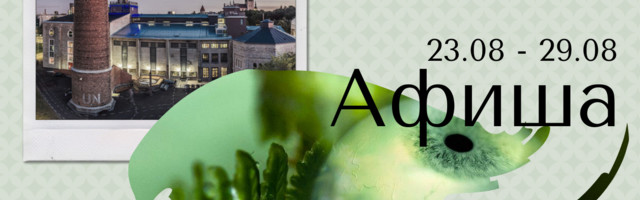 Афиша | 23.08 – 29.08 | Шоу дронов над Горхоллом, экскурсия по бывшей электростанции и созданные бобрами и синичками скульптуры