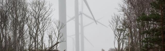 Борьба с ветряками в Раазику: волость доведет спор с девелопером до Госсуда