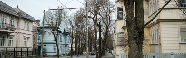 Ремонт улицы Поска в Таллинне завершен, но новые деревья еще не посажены