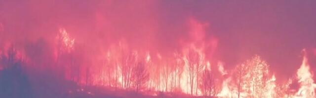 ВИДЕО | На юге Франции бушует крупнейший за последние десятилетия лесной пожар