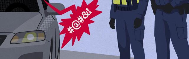 „Ногой в лицо получишь, сволочь!“ Оскорбление полицейских дошло до Госсуда