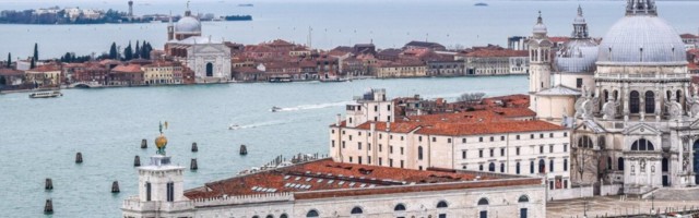 ВИДЕО | Дельфины вернулись в Венецию