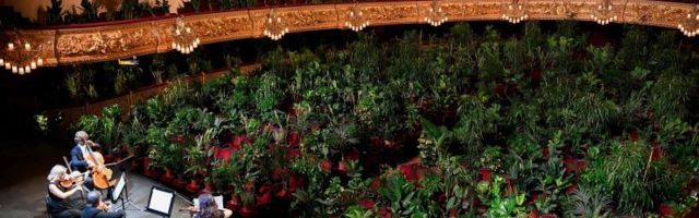 ФОТО | Невероятно! Оперный театр в Барселоне провел концерт для 3000 комнатных растений