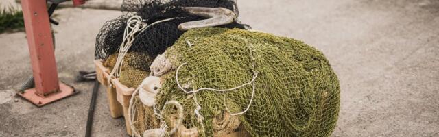 Большая уборка: за несколько дней Чудское озеро очистят от старых рыболовных сетей