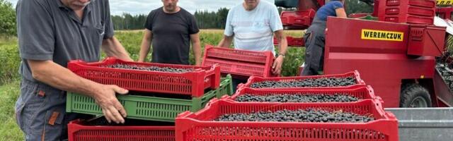 Сезонные работники часто сталкиваются с эксплуатацией и нарушением прав