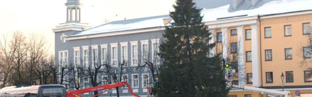 Попадавшая много раз в объективы европейцев нарвская елка-2025 прощается с нами 