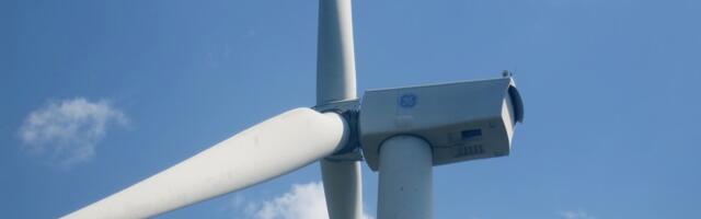 Латвийскую актрису записали в «агенты Кремля» из-за её негативного отношения к ветропаркам