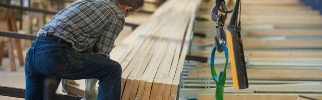 Обанкротившемуся деревообработчику придется выплатить крупный налоговый долг из своего кармана