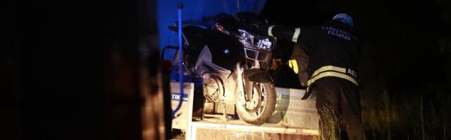 ФОТО | Мотоциклист получил тяжелые травмы после столкновения с лосем — зверь погиб на месте