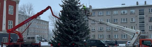 ФОТОФАКТ | В Нарве на Ратушной площади украшают городскую елку
