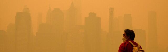Нью-Йорк под оранжевым смогом: наблюдения корреспондента Би-би-си