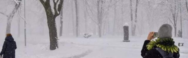 Жители возмущены: снегоуборочная техника наносит ущерб