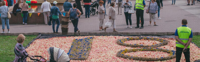 В Кохтла-Ярве заметно снизилось число новых иммигрантов