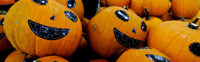 Растущая популярность Хэллоуина положительно влияет на продажи тыкв