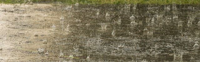 Прогноз погоды в Ида-Вирумаа на четверг, 9 июля